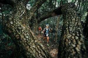 BIB: 
                            <button type="button" onclick="openModal(25392487)" class="btn btn-primary btn-sm float-right btn-popup" data-toggle="modal" data-target=".modal-high-quality">
                        <i class="fas fa-shopping-cart"></i> Add to Cart
                    </button>
                                            <button type="button" onclick="isThisMe(25392487, true)" class="btn btn-success btn-sm float-right btn-popup btn-isme hidden" data-toggle="tooltip" data-placement="bottom" title="นี่คือรูปของคุณใช่ไหม คลิกที่นี่เพื่อเอาเข้าอัลบั้ม">
                        <i class="fas fa-plus"></i> Add to album
                    </button>
                    <button type="button" onclick="isThisMe(25392487, false)" class="btn btn-warning btn-sm float-right btn-popup btn-isnotme hidden">
                        <i class="fas fa-ban"></i> Remove from album
                    </button>